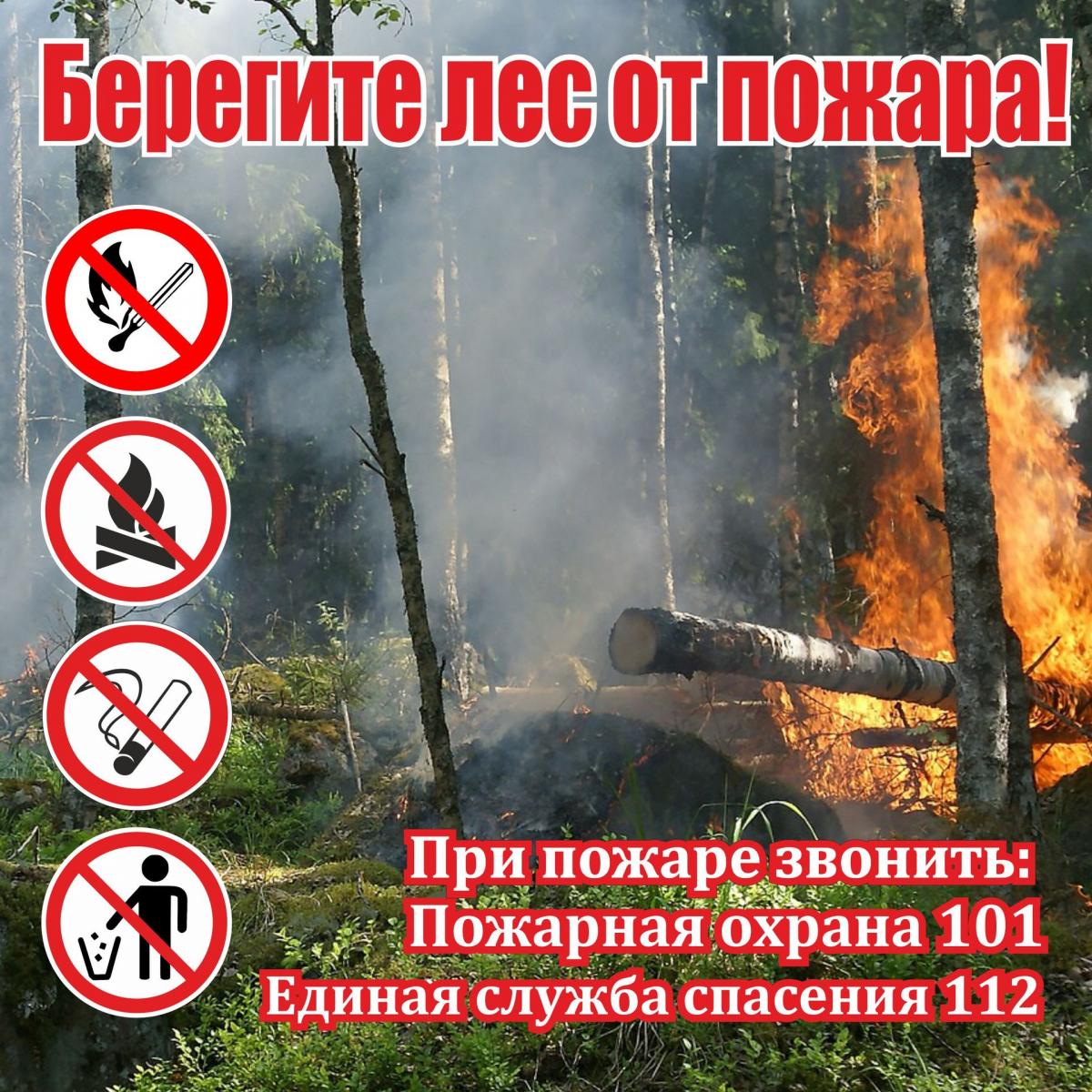 Памятки «О правилах пожарной безопасности в лесах».