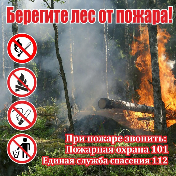 Памятки «О правилах пожарной безопасности в лесах». Памятки «О правилах пожарной безопасности в лесах».